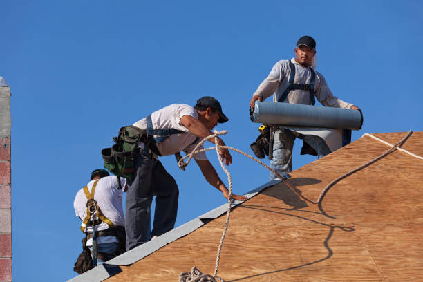 Best Flat Roof Repair Services  in Roslyn, PA